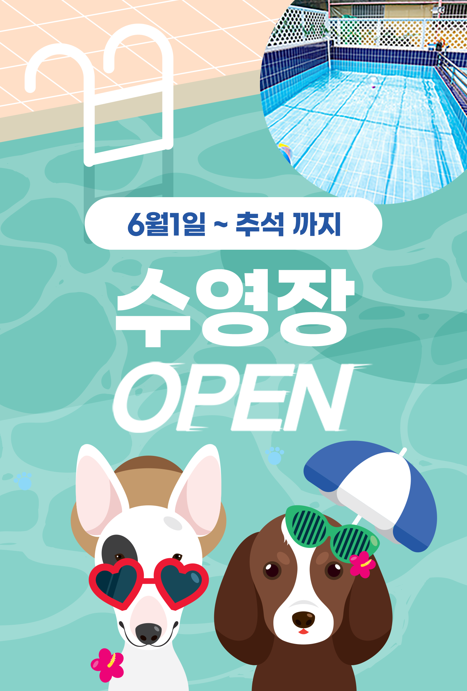 수영장오픈