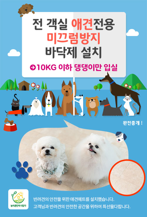 팝업이미지